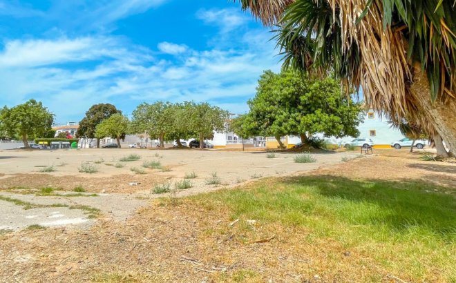 Revente - Town House -
Torrevieja - Costa Blanca