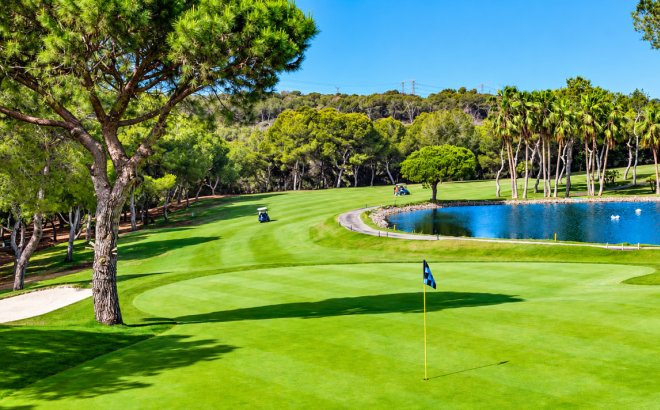 Revente - Appartement -
Cabo Roig - Costa Blanca
