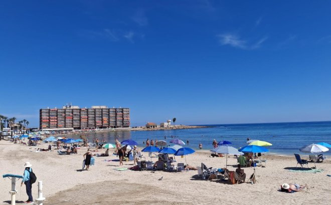 Revente - Appartement -
Torrevieja - Playa de los Locos