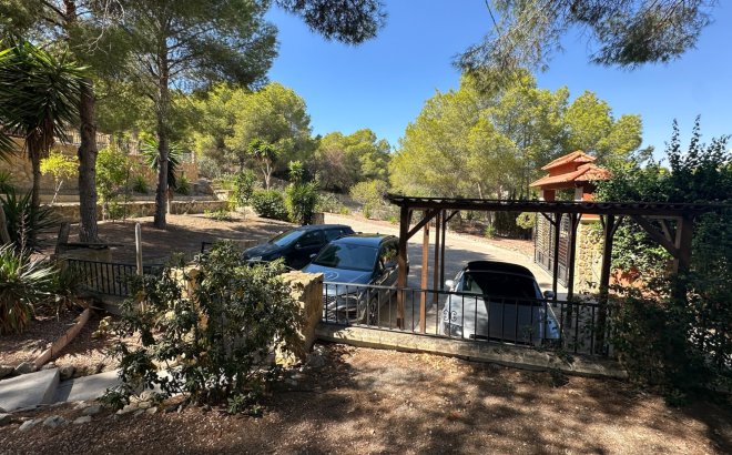 Resale - Finca -
San Miguel de Salinas - Inland