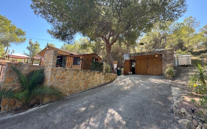 Resale - Finca -
San Miguel de Salinas - Inland