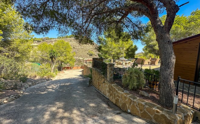 Resale - Finca -
San Miguel de Salinas - Inland
