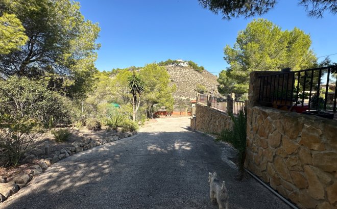 Resale - Finca -
San Miguel de Salinas - Inland