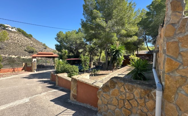 Resale - Finca -
San Miguel de Salinas - Inland