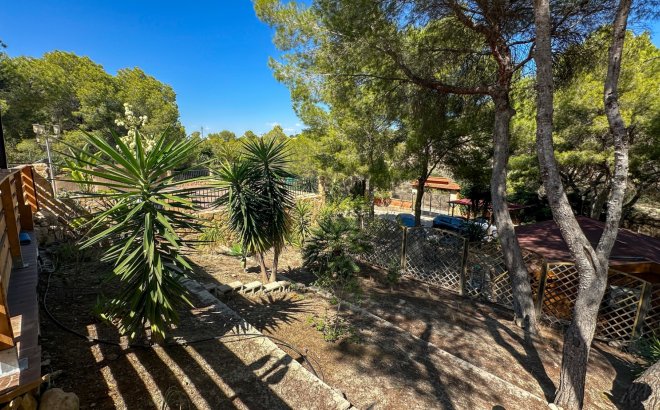 Resale - Finca -
San Miguel de Salinas - Inland