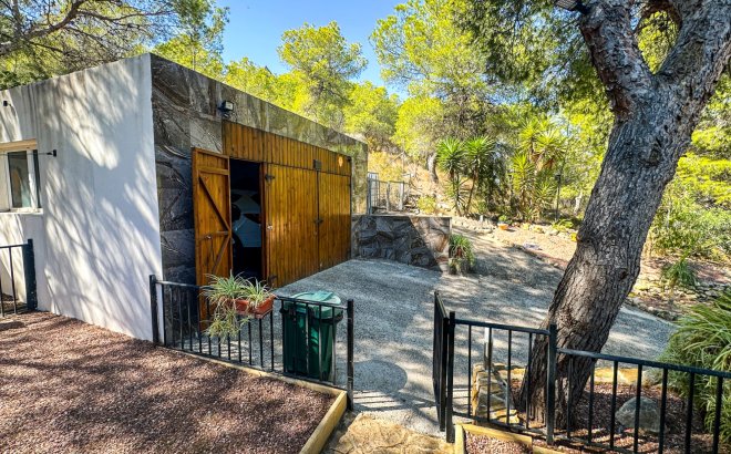 Resale - Finca -
San Miguel de Salinas - Inland