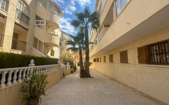 Revente - Appartement -
La Zenia - Costa Blanca