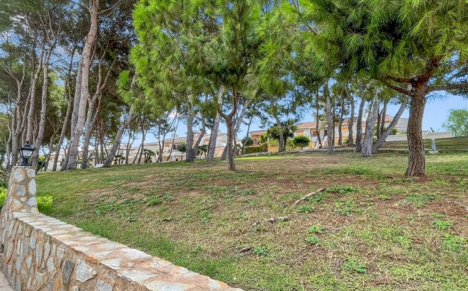 Resale - Apartment -
Mil Palmeras - Costa Blanca