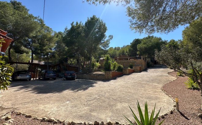 Resale - Finca -
San Miguel de Salinas - Inland
