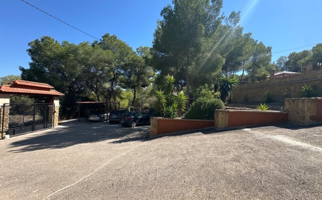 Resale - Finca -
San Miguel de Salinas - Inland
