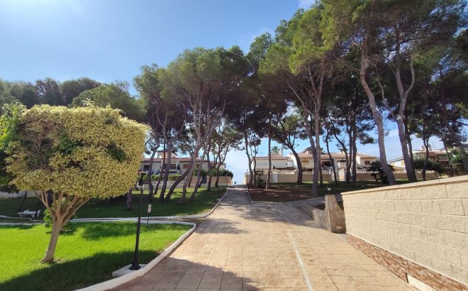 Revente - Penthouse -
Mil Palmeras - Costa Blanca