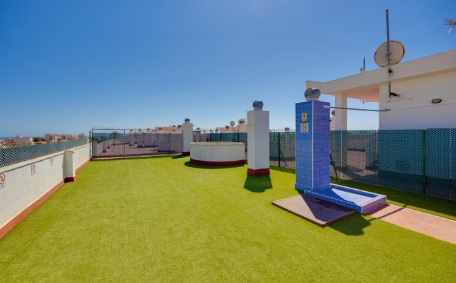 Resale - Apartment -
Torrevieja - Centro
