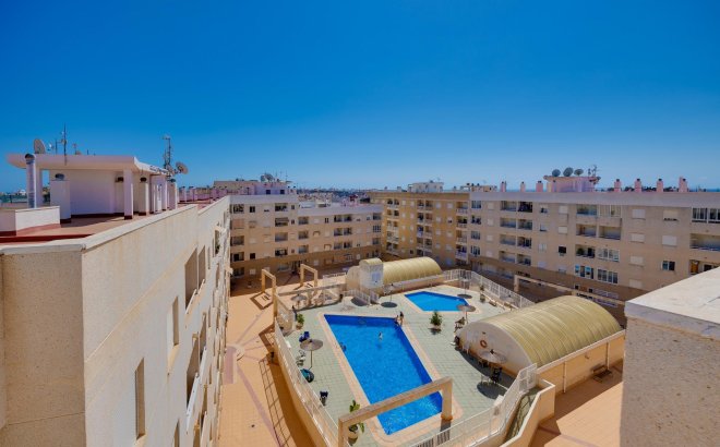 Resale - Apartment -
Torrevieja - Centro