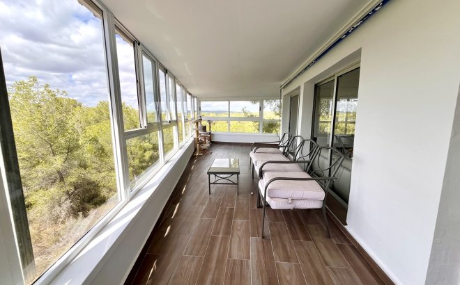 Resale - Villa -
Pinar de Campoverde - Inland