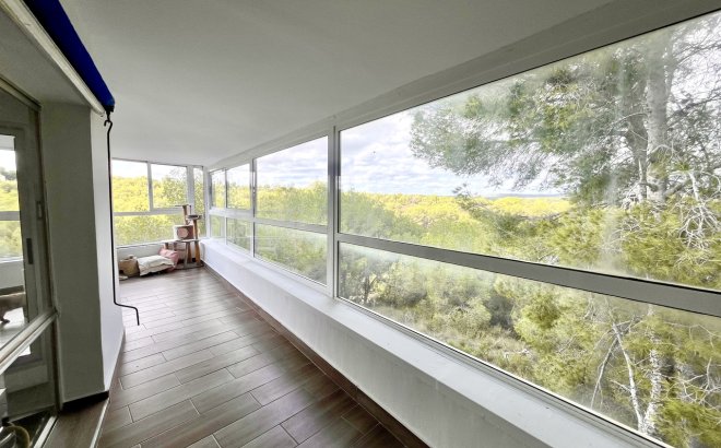 Resale - Villa -
Pinar de Campoverde - Inland