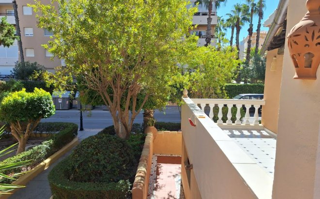 Revente - Appartement -
Torrevieja - Los Frutales