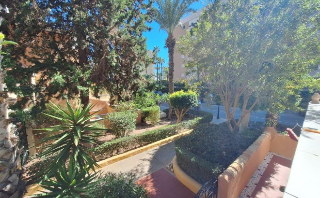 Revente - Appartement -
Torrevieja - Los Frutales