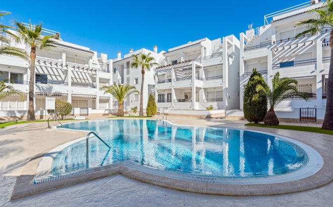 Revente - Appartement -
Torrevieja - Costa Blanca