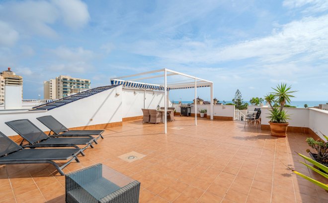Revente - Appartement -
Torrevieja - Costa Blanca