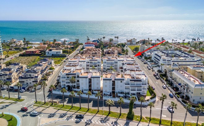 Revente - Appartement -
Torrevieja - Costa Blanca