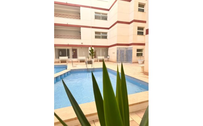 Resale - Apartment -
Torrevieja - Centro