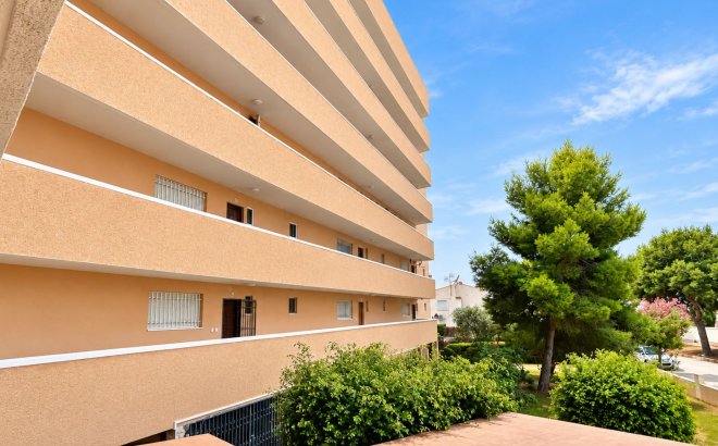 Revente - Appartement -
La Zenia - Costa Blanca
