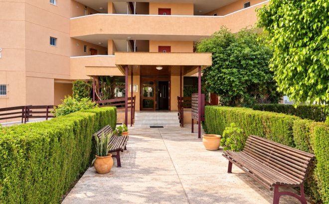Revente - Appartement -
La Zenia - Costa Blanca