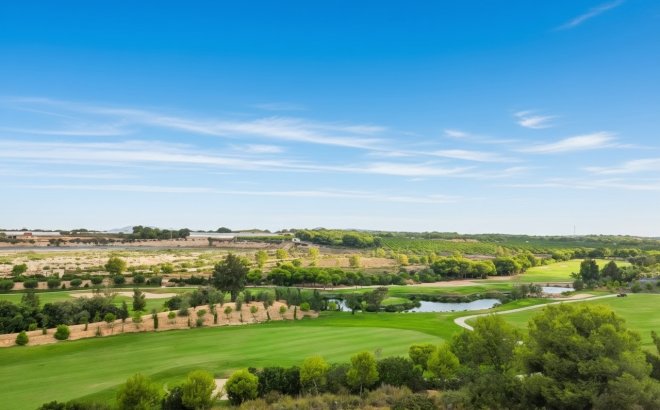 Revente - Penthouse -
Pilar de la Horadada - Costa Blanca