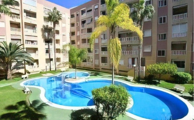 Herverkoop - Penthouse -
Torrevieja - PARQUE DE LAS NACIONES