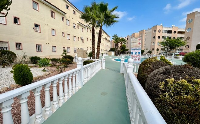 Revente - Town House -
Torrevieja - Costa Blanca