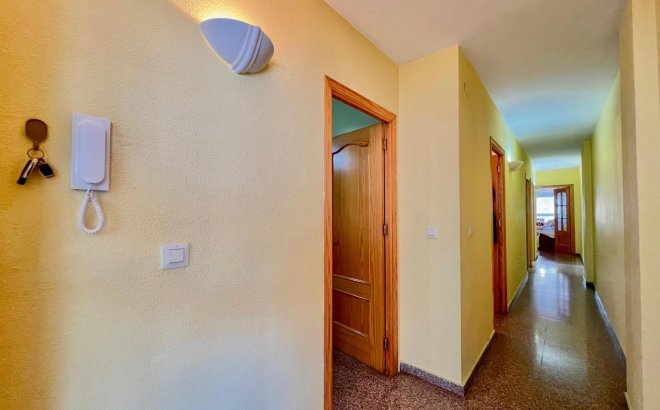 Resale - Apartment -
Torrevieja - Puerto Deportivo