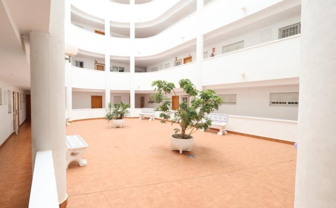 Revente - Appartement -
Torrevieja - Costa Blanca