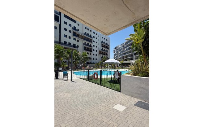 Resale - Apartment -
Dehesa de Campoamor - Costa Blanca