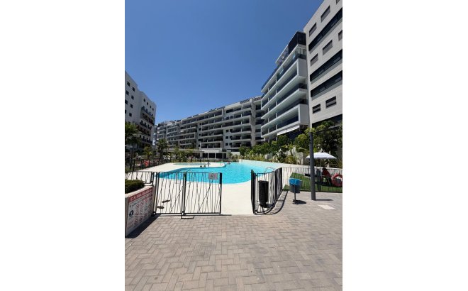 Resale - Apartment -
Dehesa de Campoamor - Costa Blanca