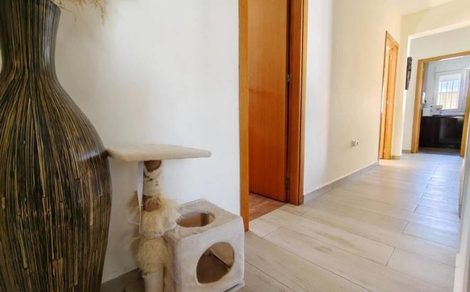 Resale - Villa -
Torrevieja - Torreta Florida