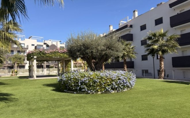 Revente - Appartement -
Villamartin - Costa Blanca