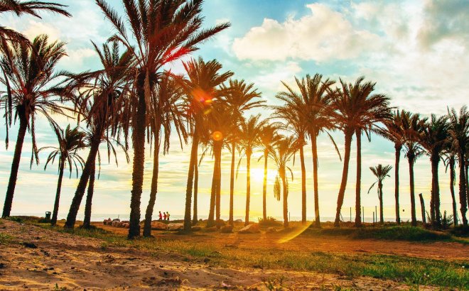 Resale - Bungalow -
Torrevieja - Los Balcones