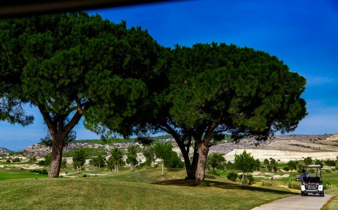Resale - Apartment -
Vistabella Golf Entre Naranjos - Inland