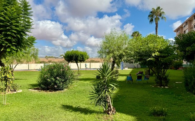 Revente - Appartement -
Torrevieja - PARQUE DE LAS NACIONES