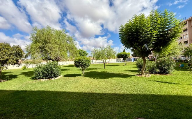Revente - Appartement -
Torrevieja - PARQUE DE LAS NACIONES