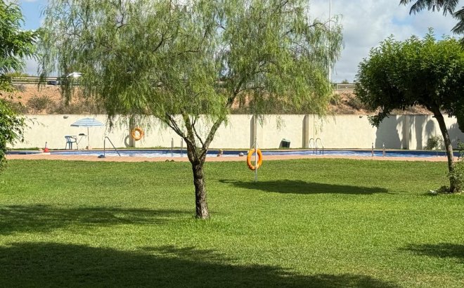 Revente - Appartement -
Torrevieja - PARQUE DE LAS NACIONES