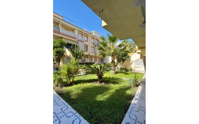Revente - Appartement -
Torrevieja - Costa Blanca