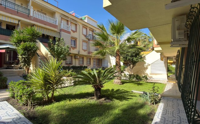 Revente - Appartement -
Torrevieja - Costa Blanca