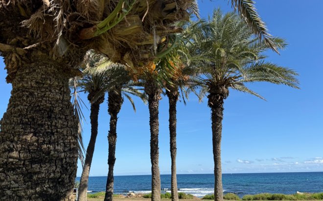 Revente - Appartement -
Torrevieja - Costa Blanca