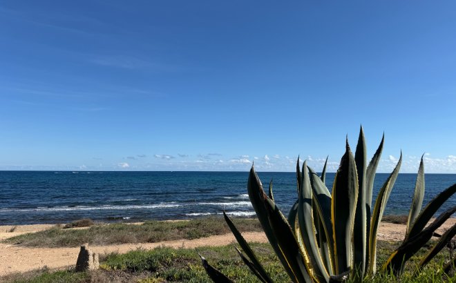 Revente - Appartement -
Torrevieja - Costa Blanca