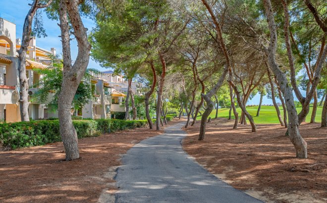 Resale - Duplex Penthouse -
Dehesa de Campoamor - Costa Blanca