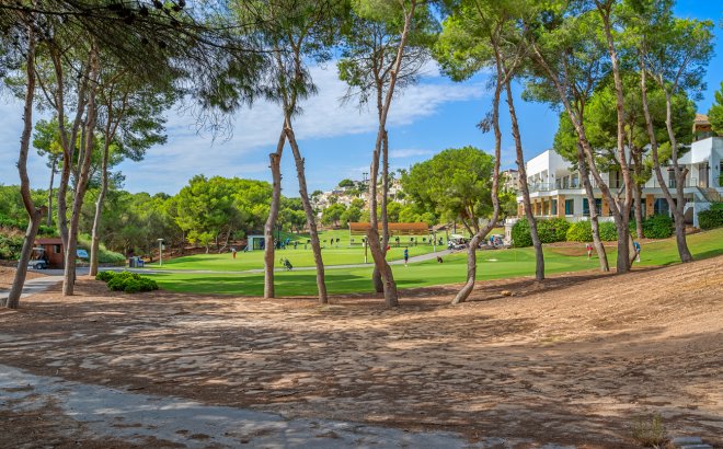 Resale - Duplex Penthouse -
Dehesa de Campoamor - Costa Blanca