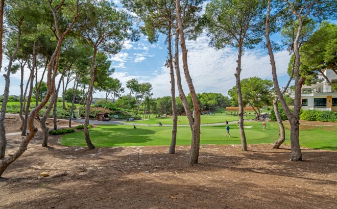 Resale - Duplex Penthouse -
Dehesa de Campoamor - Costa Blanca
