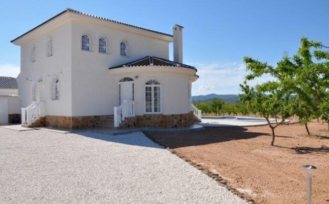 New Build - Villa -
Pinoso - Campo