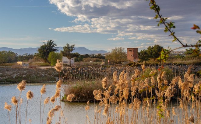 Nouvelle Construction - Bungalow -
Guardamar del Segura - Guardamar Del Segura